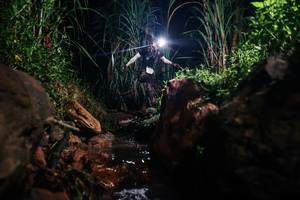 BIB: 
                            <button type="button" onclick="openModal(26413137)" class="btn btn-primary btn-sm float-right btn-popup" data-toggle="modal" data-target=".modal-high-quality">
                        <i class="fas fa-shopping-cart"></i> Add to Cart
                    </button>
                                            <button type="button" onclick="isThisMe(26413137, true)" class="btn btn-success btn-sm float-right btn-popup btn-isme hidden" data-toggle="tooltip" data-placement="bottom" title="นี่คือรูปของคุณใช่ไหม คลิกที่นี่เพื่อเอาเข้าอัลบั้ม">
                        <i class="fas fa-plus"></i> Add to album
                    </button>
                    <button type="button" onclick="isThisMe(26413137, false)" class="btn btn-warning btn-sm float-right btn-popup btn-isnotme hidden">
                        <i class="fas fa-ban"></i> Remove from album
                    </button>